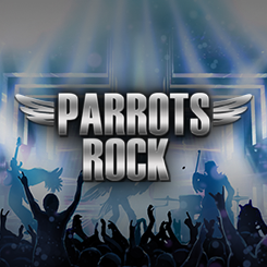Parrots Rock